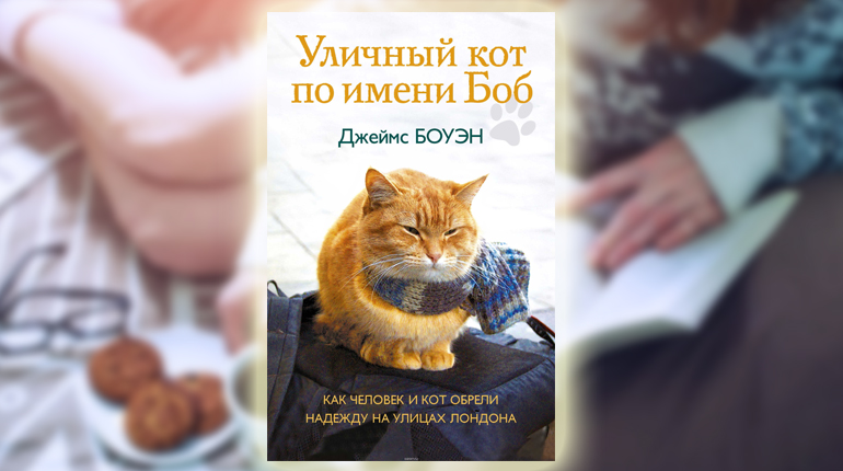 Книга, Уличный кот по имени Боб. Как человек и кот обрели надежду на улицах Лондона, Джеймс Боуэн, 978-5-386-10742-0